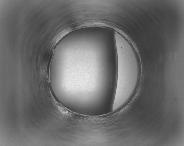 X0000077340905200610200937
