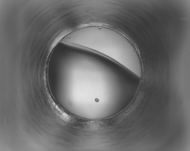 X0000077340906200610200937