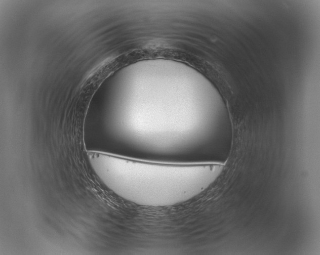 X0000077340919200610200937