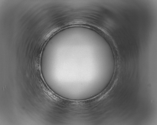 X0000077340929200610200937