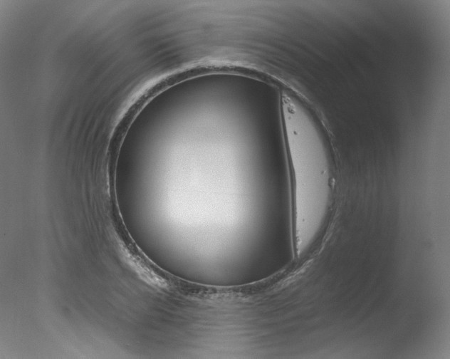 X0000077340934200610200937
