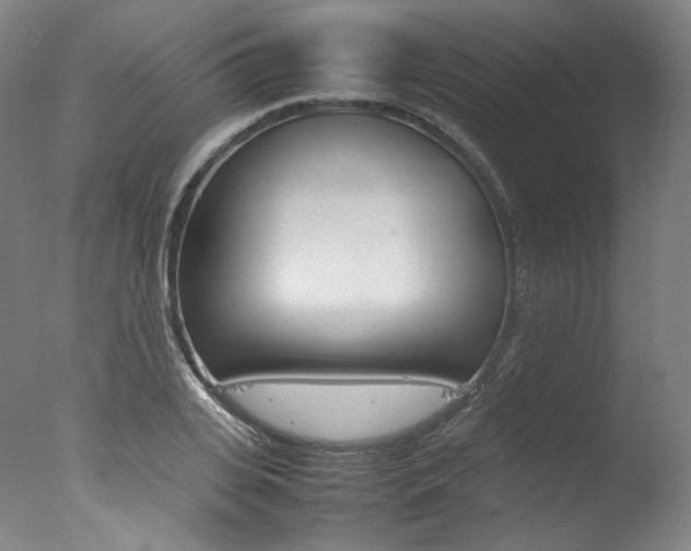 X0000077340935200610200937