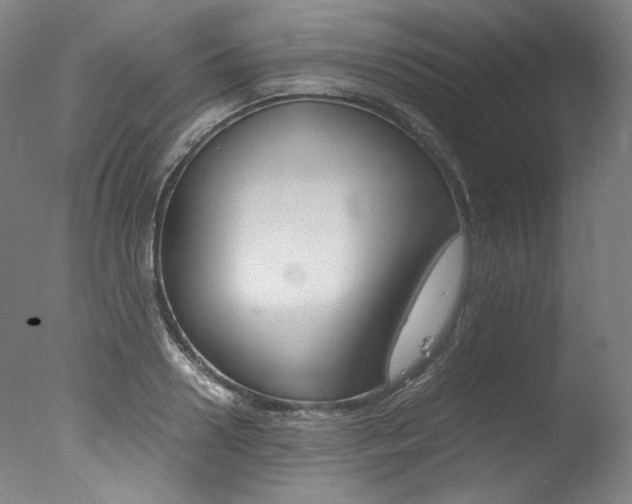 X0000077340938200610200937