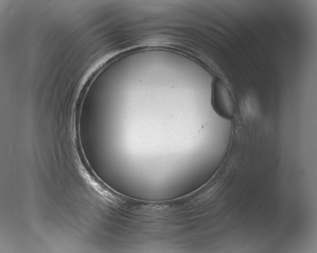 X0000077340939200610200937