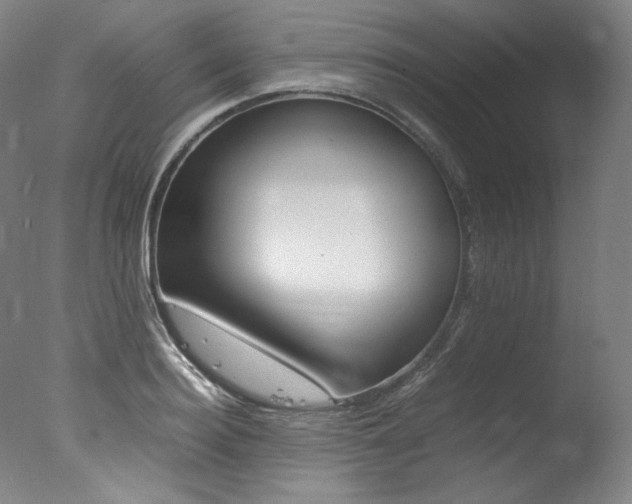 X0000077340940200610200937