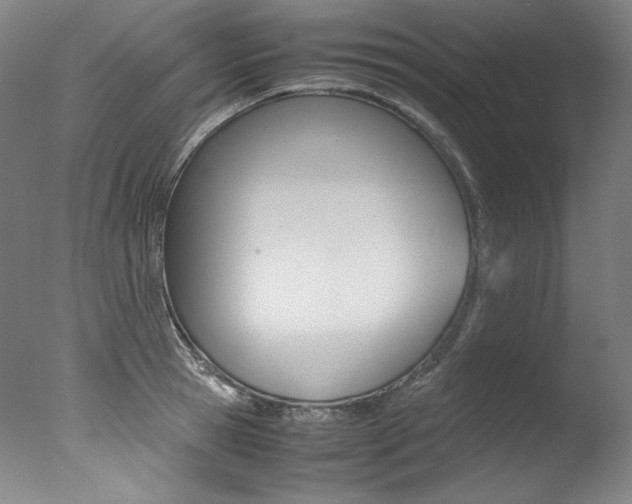 X0000077340945200610200937
