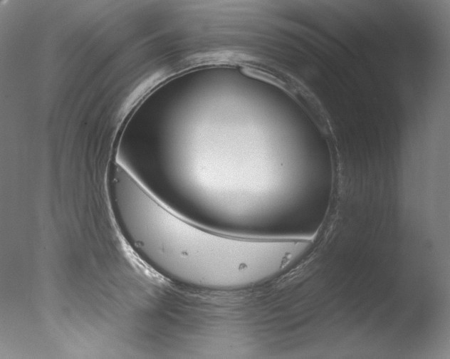 X0000077340946200610200937