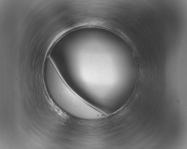 X0000077340948200610200937
