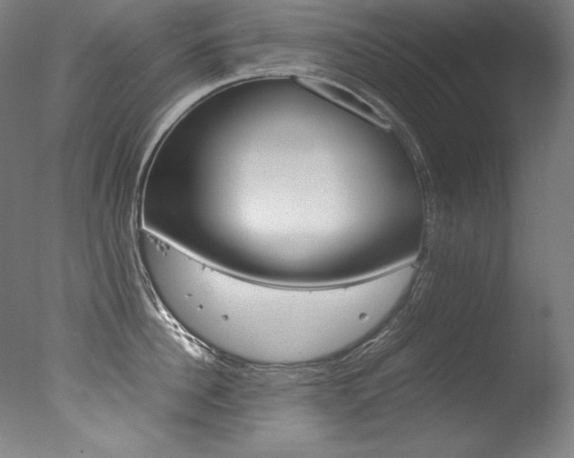 X0000077340956200610200937