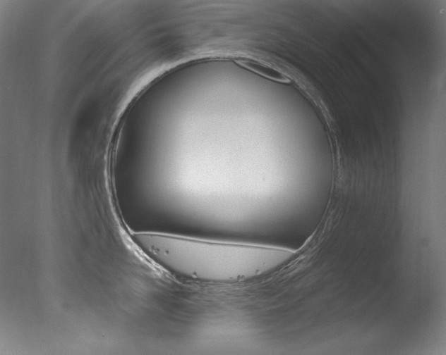 X0000077340958200610200937