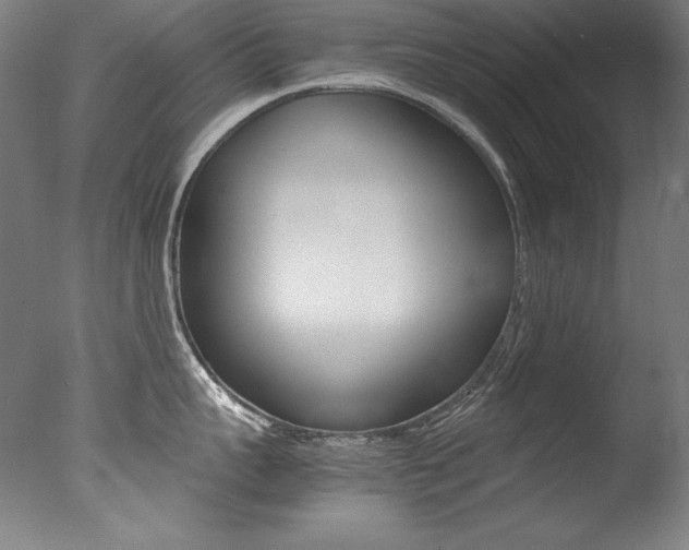 X0000077340959200610200937