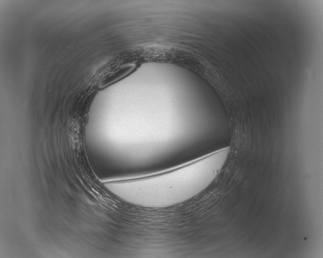 X0000077340964200610200936
