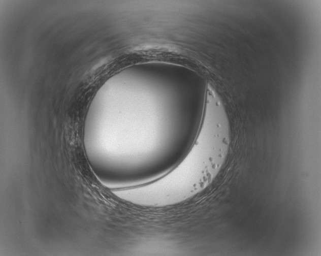 X0000077340965200610200936