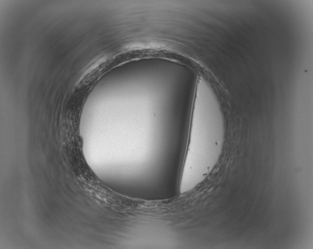 X0000077340967200610200936