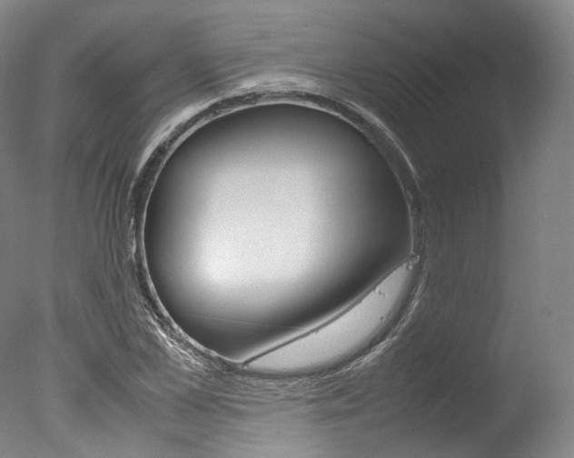 X0000077340973200610200936