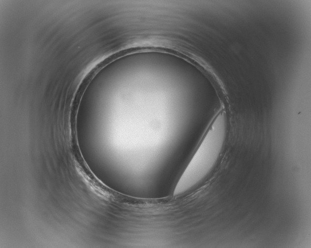 X0000077340980200610200936