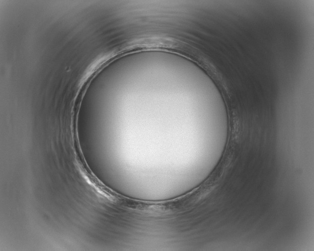 X0000077340986200610200936