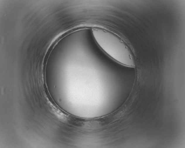 X0000077340988200610200936