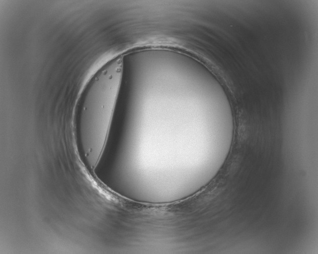 X0000077340990200610200936