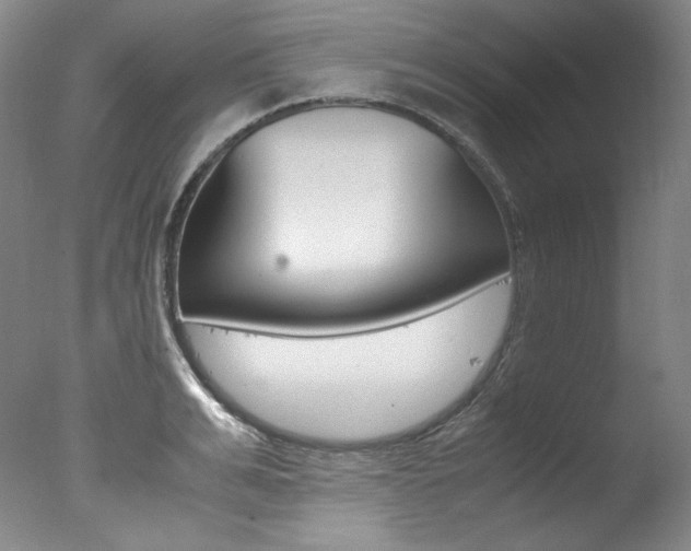 X0000077340991200610200936