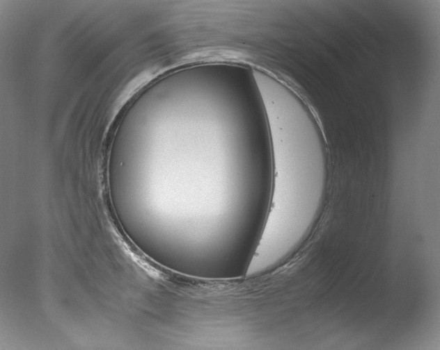 X0000077340997200610200936