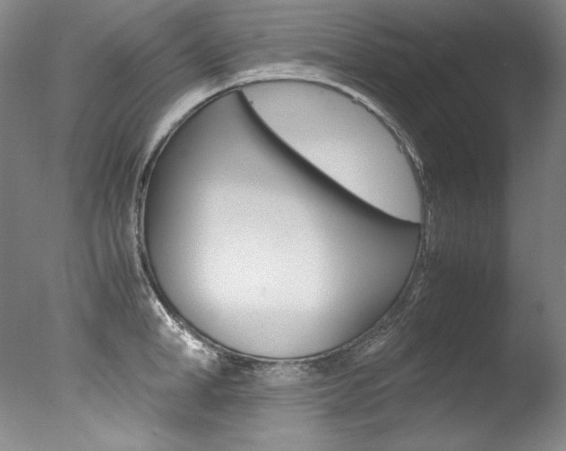 X0000077340998200610200936
