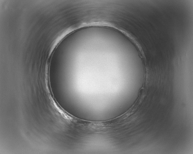 X0000077341006200610200936