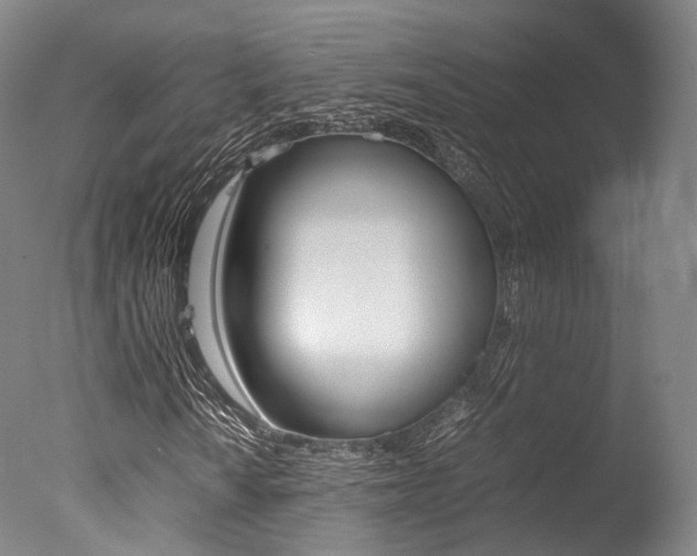 X0000077341010200610200935