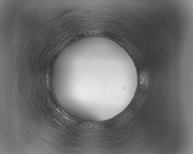 X0000077341011200610200935