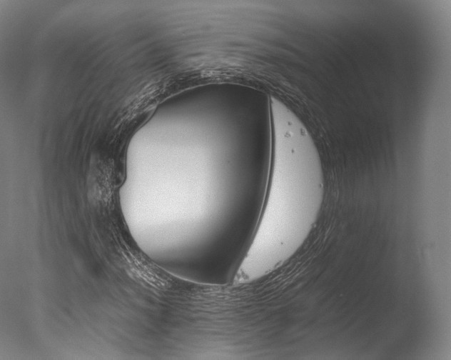 X0000077341012200610200935