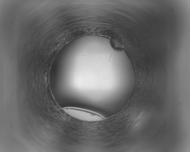 X0000077341013200610200935
