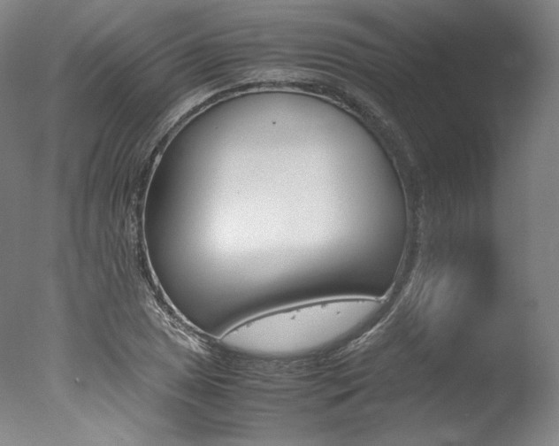 X0000077341025200610200935