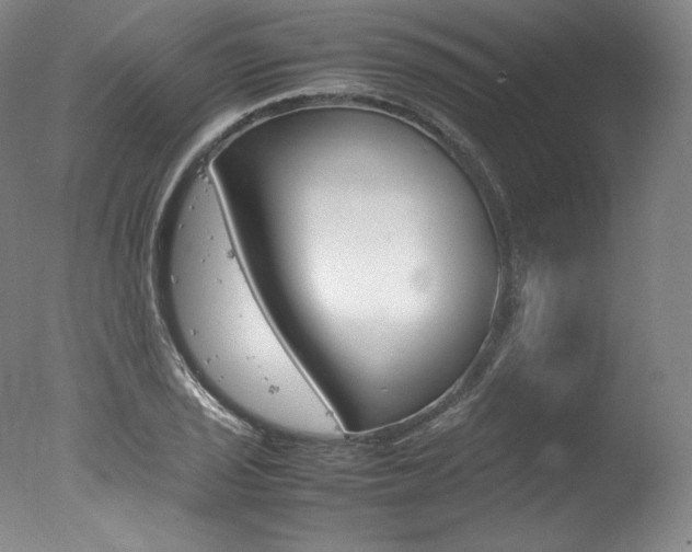 X0000077341029200610200935