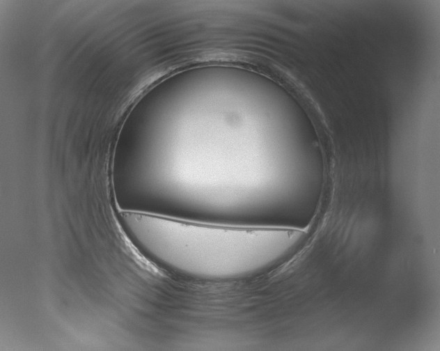 X0000077341033200610200935