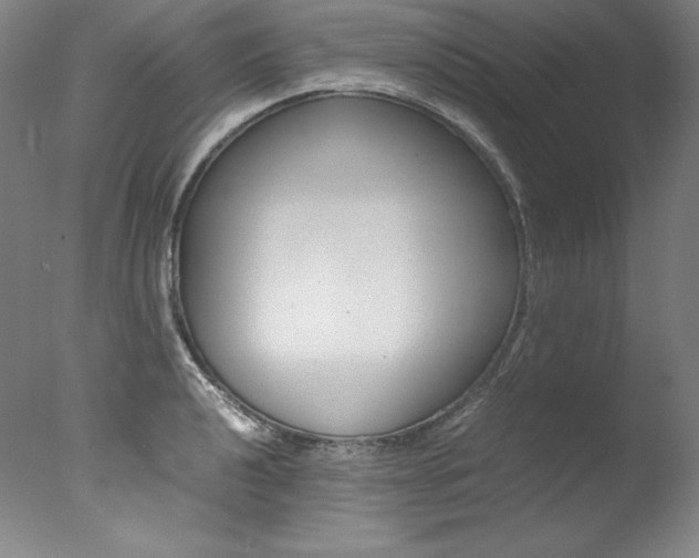 X0000077341040200610200935
