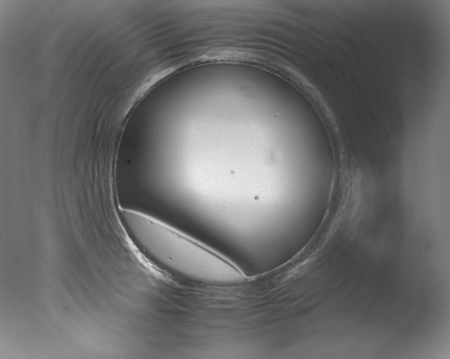 X0000077341041200610200935