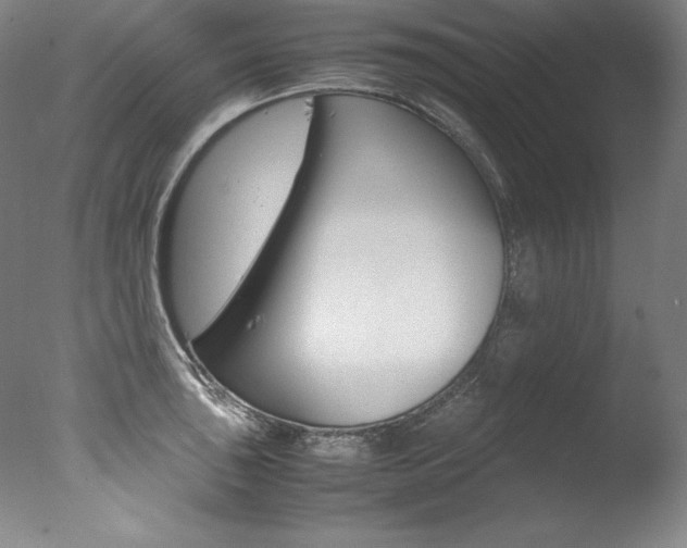 X0000077341043200610200935