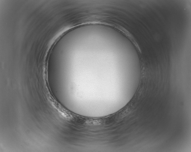 X0000077341051200610200936