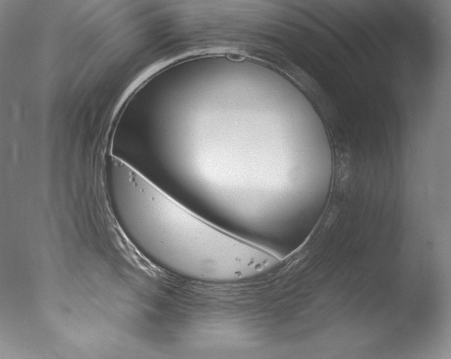 X0000077341052200610200936