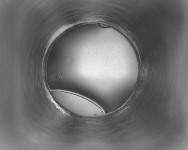 X0000077341053200610200936