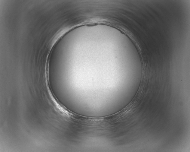 X0000077341055200610200936