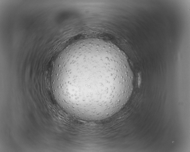 X0000077341059200610200935