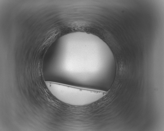 X0000077341060200610200935