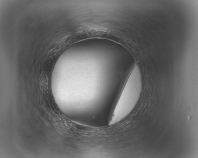 X0000077341061200610200935