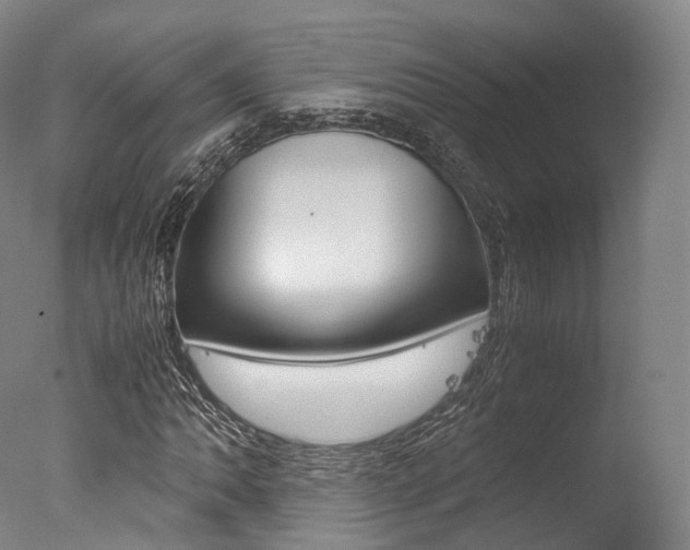X0000077341062200610200935