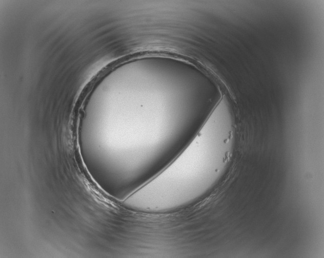 X0000077341068200610200935