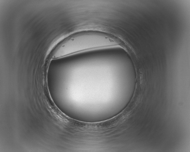 X0000077341069200610200935