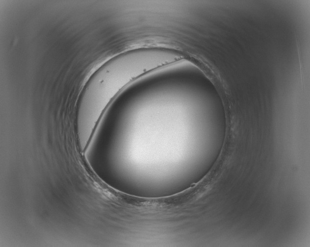X0000077341081200610200934