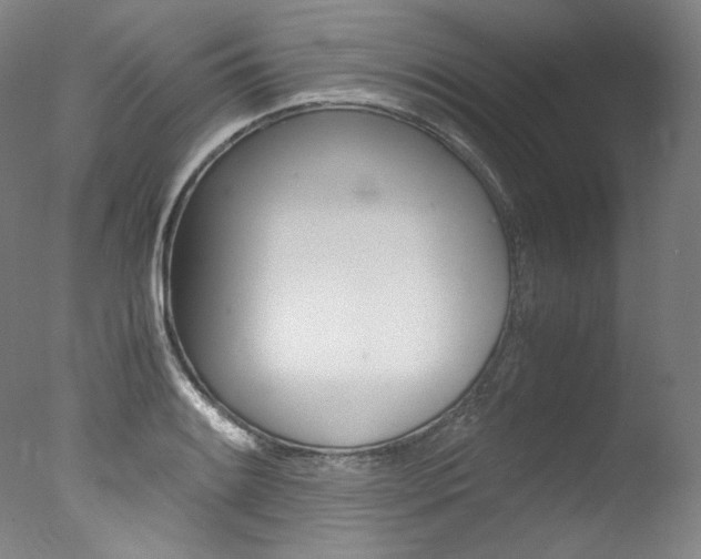 X0000077341084200610200934