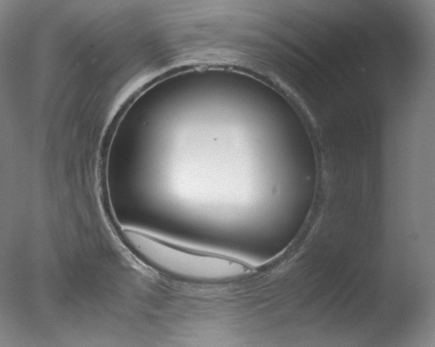 X0000077341085200610200934